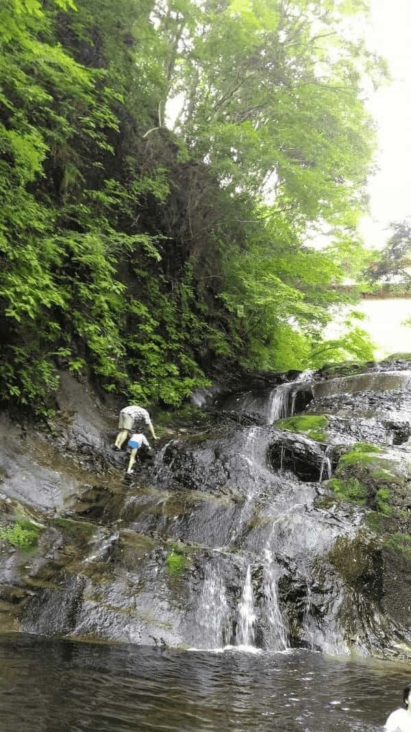 【房総】ホタル狩りも滝つぼプールも！「清和の森」で贅沢キャンプ