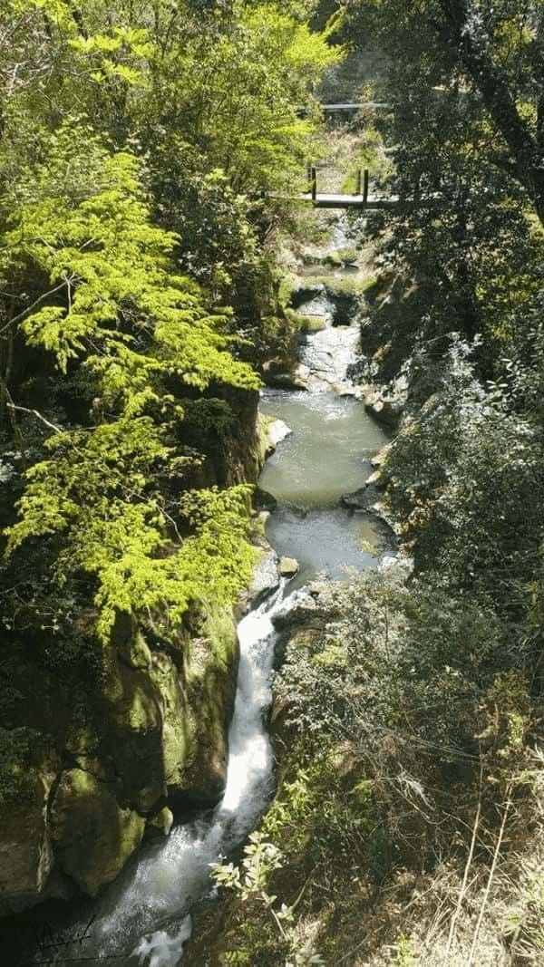 【熊本】福岡発！レンタカーでまわる日帰り旅のススメ