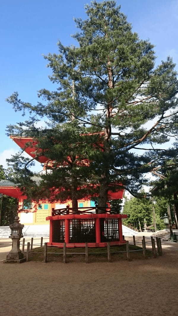 【高野山】はじまりの地！壮麗な修行道場・壇上伽藍