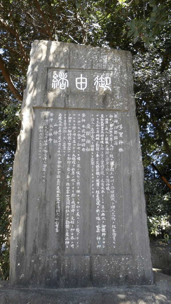 【愛知・知多半島】尾張多賀神社でオガタマノキに癒され快眠神社浴！