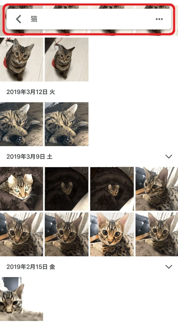 大量写真もこれで解決！スマホ写真を効率的に整理するおすすめ写真整理アプリは？