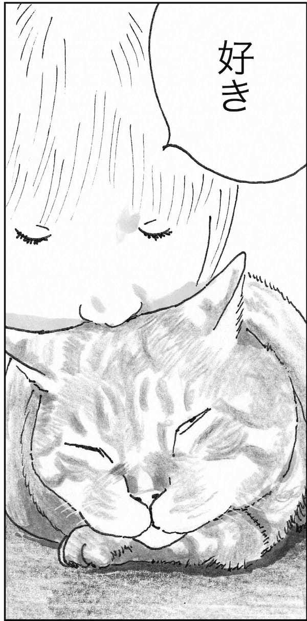 ＜猫漫画＞野良猫先生、なんとなく深い言葉を発する／モンちゃんと私