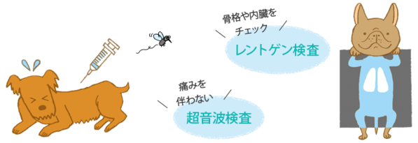 目指せハタチのわんこ！かんたん健康チェック！