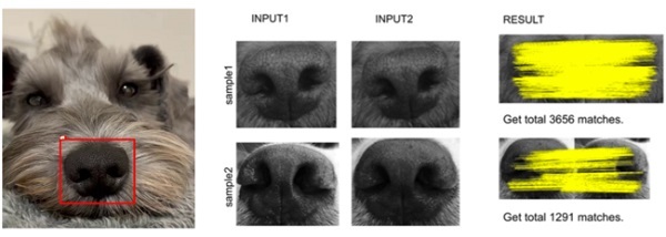 日本初「犬の鼻紋」をAIが解析し個体識別！NoseIDアプリのβ版がリリース