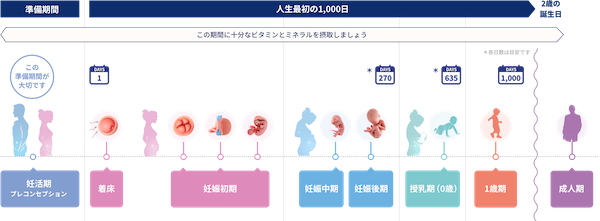 東アジアのエキスパート医師ら7名による栄養の重要性に関する意見交換会が開催