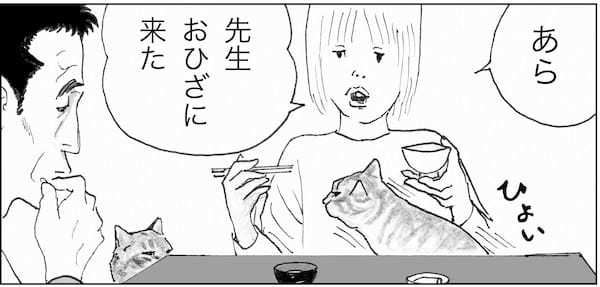 ＜猫漫画＞DVヒモ男と暮らすOL、野良猫3匹とホームレスのおじさんを迎え入れる／モンちゃんと私