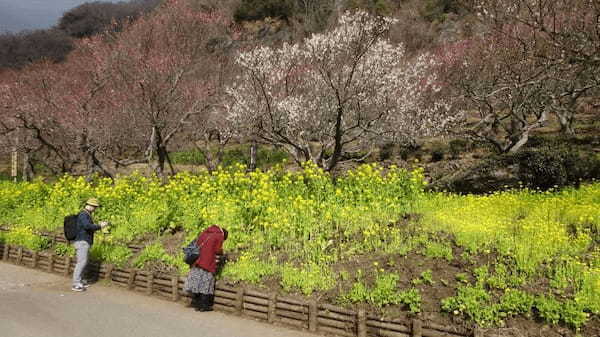 文人たちが愛した温泉の町・湯河原のおすすめスポット10選【神奈川】1.jpg