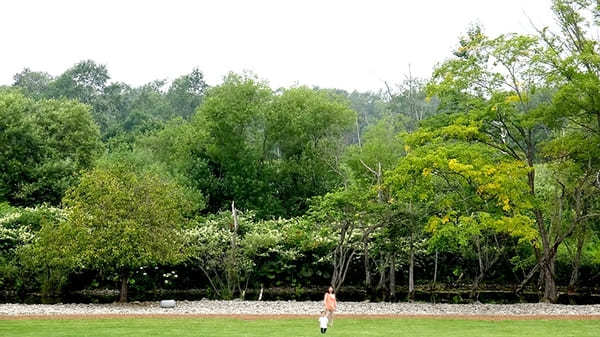 花と緑とアートが溢れた空間！【北海道・六花の森】へ出かけよう！