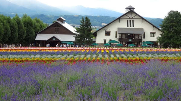 ふらの・びえいフリーきっぷで行く富良野・美瑛観光5つの楽しみ方