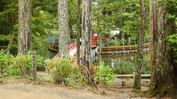 【高野山】はじまりの地！壮麗な修行道場・壇上伽藍