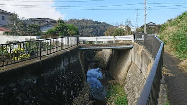 温暖な三浦半島でいちご狩り・みかん狩りを楽しもう【津久井浜観光農園】1.jpg