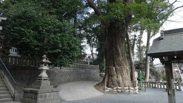 文人たちが愛した温泉の町・湯河原のおすすめスポット10選【神奈川】1.jpg