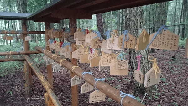 【長野県】良縁を呼ぶパワースポット「縁結神社」～日本で唯一“縁結び“の名を冠する神社