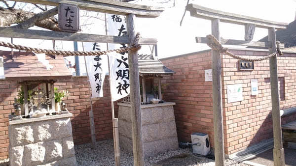 【和歌山電鐵・貴志川線】たま電車に乗って猫駅長たまに会いに行こう！