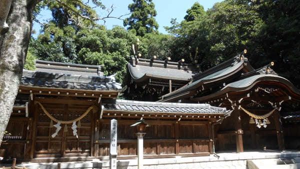 【愛知・知多半島】尾張多賀神社でオガタマノキに癒され快眠神社浴！