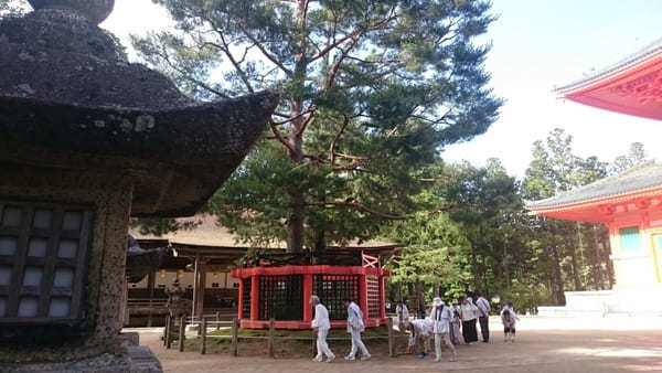 【高野山】はじまりの地！壮麗な修行道場・壇上伽藍