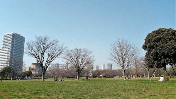 【東京・木場公園】河津桜でお花見♪2月から都心で桜を楽しもう1.jpg