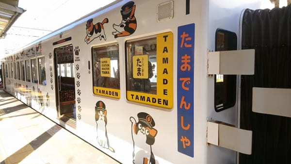 【和歌山電鐵・貴志川線】たま電車に乗って猫駅長たまに会いに行こう！