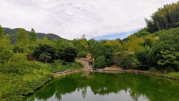 和歌山市初【道の駅 四季の郷公園】で野生を楽しもう！