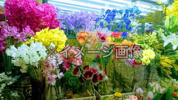 唐津市のおしゃれな花屋10選！便利な駅前店やアレンジ花束が人気な店も！
