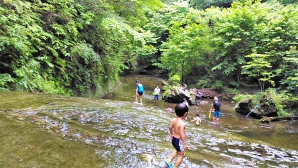 【房総】ホタル狩りも滝つぼプールも！「清和の森」で贅沢キャンプ