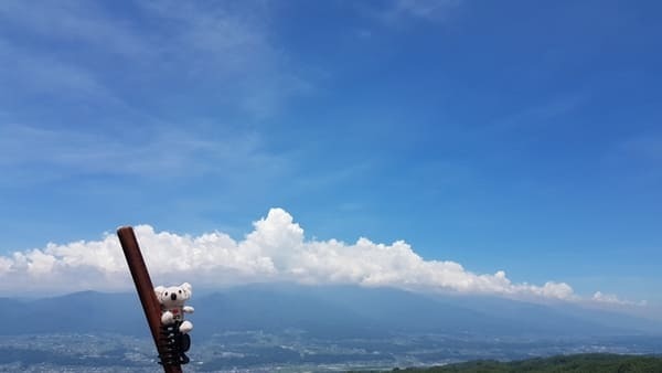 【長野・豊丘村】ジブリファン必見！福島てっぺん公園で空飛ぶ魔女になる？！