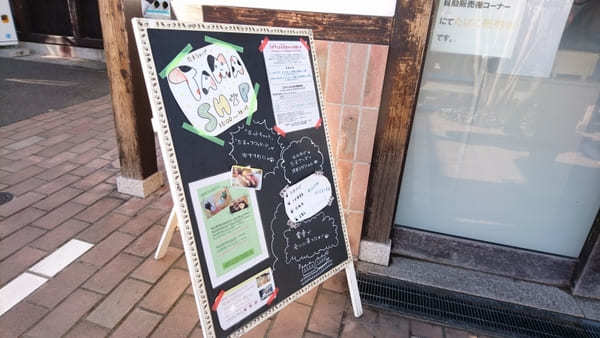 【和歌山電鐵・貴志川線】たま電車に乗って猫駅長たまに会いに行こう！