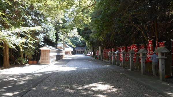 【愛知・知多半島】尾張多賀神社でオガタマノキに癒され快眠神社浴！