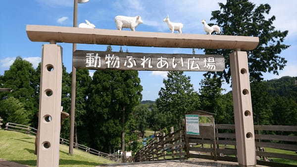 但馬牛や動物たちと間近で会える！兵庫県立但馬牧場公園の見所紹介！