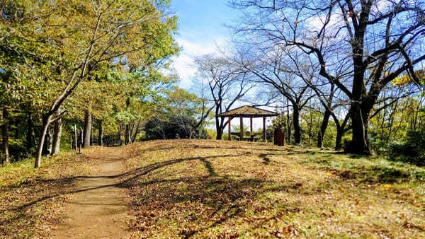 【弘法山】ゴールは温泉地！初心者にやさしい神奈川ハイキングコース