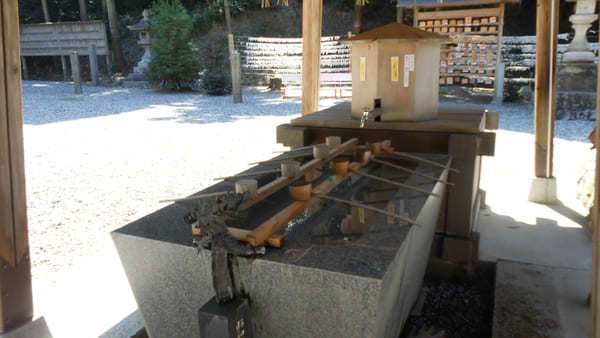 【愛知・知多半島】尾張多賀神社でオガタマノキに癒され快眠神社浴！