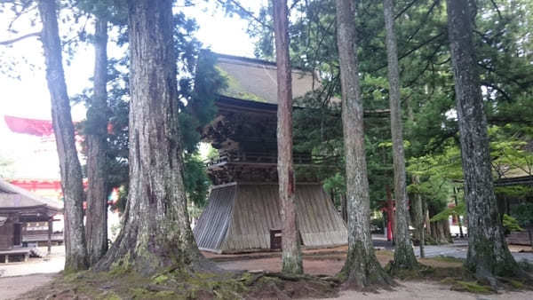 【高野山】はじまりの地！壮麗な修行道場・壇上伽藍