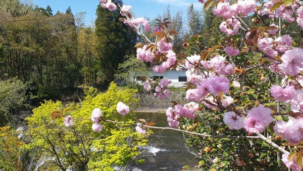 【熊本】福岡発！レンタカーでまわる日帰り旅のススメ