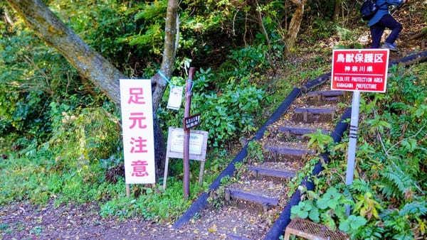 【弘法山】ゴールは温泉地！初心者にやさしい神奈川ハイキングコース