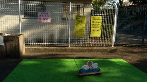 ヤギの散歩も！入園無料【和歌山公園動物園】のふれあい体験が面白い！