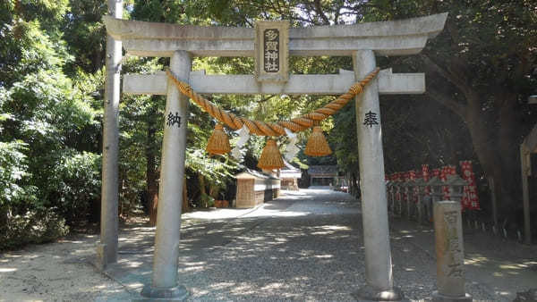 【愛知・知多半島】尾張多賀神社でオガタマノキに癒され快眠神社浴！