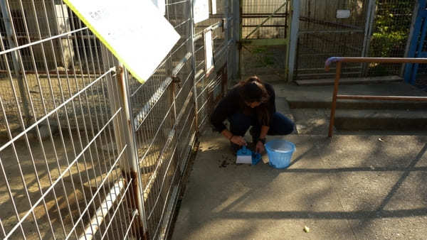 ヤギの散歩も！入園無料【和歌山公園動物園】のふれあい体験が面白い！