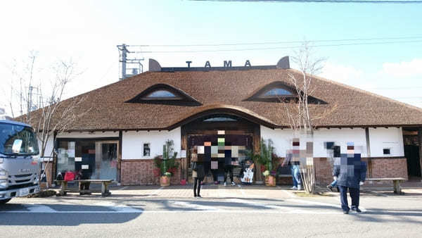 【和歌山電鐵・貴志川線】たま電車に乗って猫駅長たまに会いに行こう！