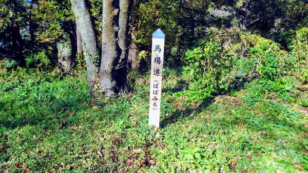 【弘法山】ゴールは温泉地！初心者にやさしい神奈川ハイキングコース