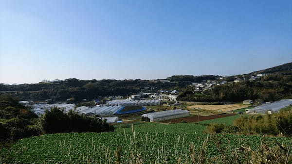 温暖な三浦半島でいちご狩り・みかん狩りを楽しもう【津久井浜観光農園】1.jpg