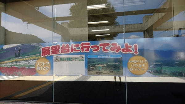 但馬牛や動物たちと間近で会える！兵庫県立但馬牧場公園の見所紹介！