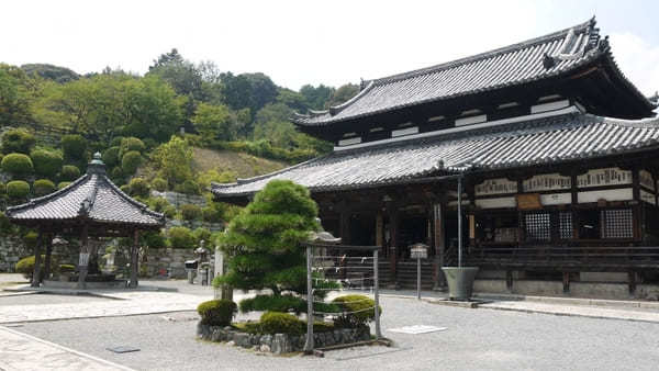 【滋賀・大津】うさぎ好きさん必見！三尾神社