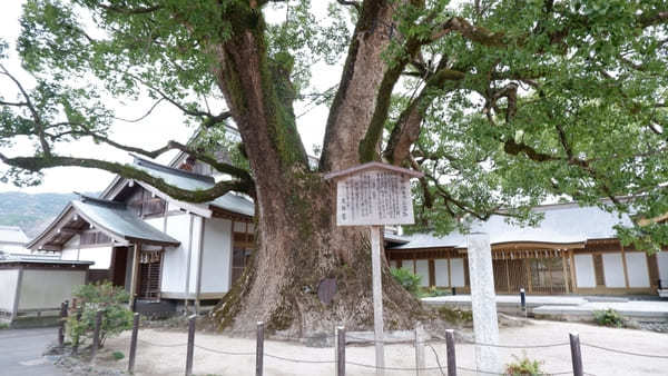 1泊2日で福岡＆太宰府を散策♪歴史＆グルメを満喫できる観光モデルコース