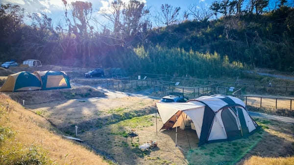 【千葉・館山】キャンパー必見! 大人気で予約殺到のキャンプマナビスの魅力を徹底解剖!