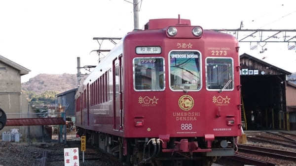 【和歌山電鐵・貴志川線】たま電車に乗って猫駅長たまに会いに行こう！