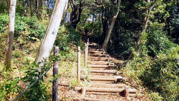 【弘法山】ゴールは温泉地！初心者にやさしい神奈川ハイキングコース