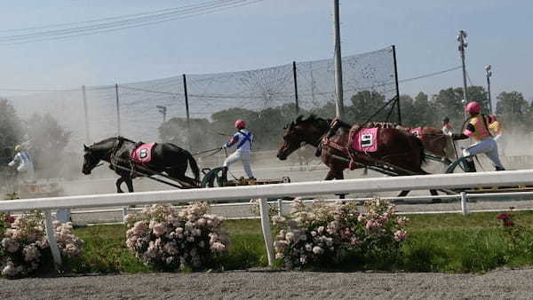 世界で唯一のド迫力ばんえい競馬！1日遊べる帯広競馬場＆とかちむら1.jpg