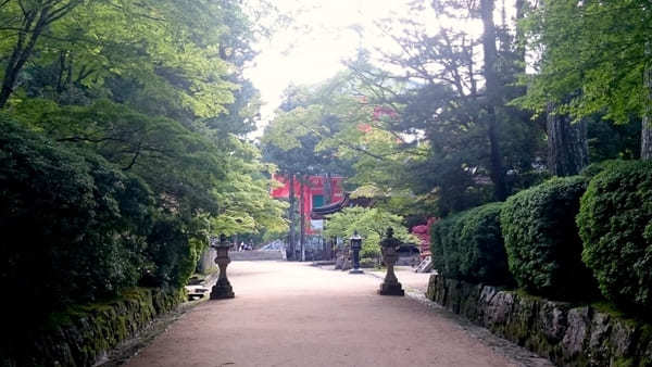 【高野山】はじまりの地！壮麗な修行道場・壇上伽藍