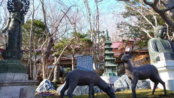 釧路の蕎麦は緑色が主流？明治7年創業の老舗店・竹老園東家総本店へ