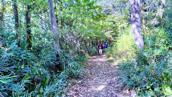 【弘法山】ゴールは温泉地！初心者にやさしい神奈川ハイキングコース